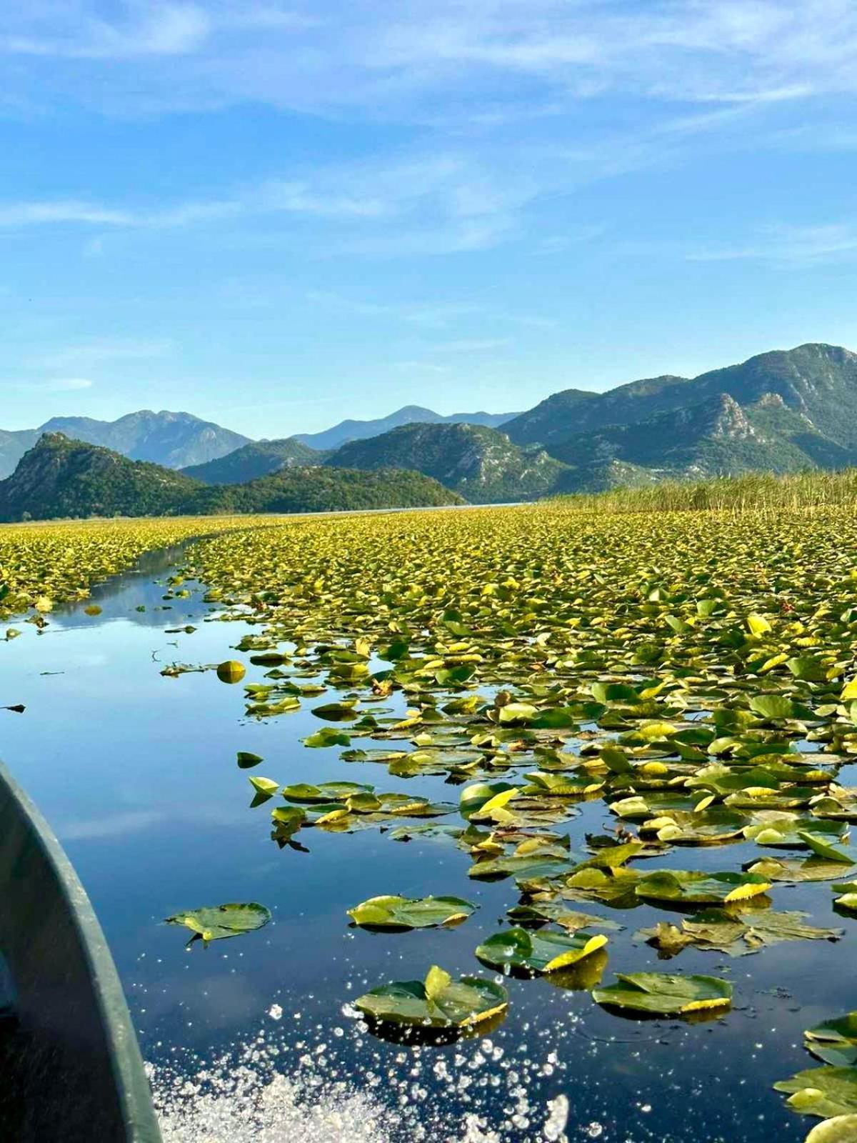 Casa Di Kiara, Skadar Lake Dodosi Bagian luar foto
